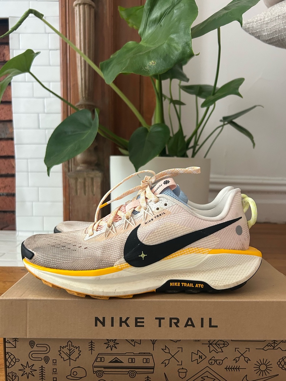 Nike Pegasus Trail 5 Women’s Running Shoes